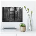 Picture of Mysterious Woods  _GroupedProduct_Rectangle_Landscape_Photography _GroupedProduct_Rectangle_Landscape_Unframed_Print_Only_
