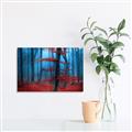 Picture of Mysterious Woods  _GroupedProduct_Rectangle_Landscape_Photography _GroupedProduct_Rectangle_Landscape_Unframed_Print_Only_