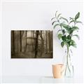 Picture of Mysterious Woods  _GroupedProduct_Rectangle_Landscape_Photography _GroupedProduct_Rectangle_Landscape_Unframed_Print_Only_