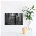 Picture of Mysterious Woods  _GroupedProduct_Rectangle_Landscape_Photography _GroupedProduct_Rectangle_Landscape_Unframed_Print_Only_
