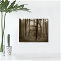 Picture of Mysterious Woods  _GroupedProduct_Rectangle_Landscape_Photography _GroupedProduct_Rectangle_Landscape_Unframed_Print_Only_