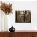 Picture of Mysterious Woods  _GroupedProduct_Rectangle_Landscape_Photography _GroupedProduct_Rectangle_Landscape_Unframed_Print_Only_