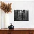 Picture of Mysterious Woods  _GroupedProduct_Rectangle_Landscape_Photography _GroupedProduct_Rectangle_Landscape_Unframed_Print_Only_