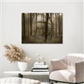 Picture of Mysterious Woods  _GroupedProduct_Rectangle_Landscape_Photography _GroupedProduct_Rectangle_Landscape_Unframed_Print_Only_