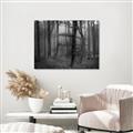 Picture of Mysterious Woods  _GroupedProduct_Rectangle_Landscape_Photography _GroupedProduct_Rectangle_Landscape_Unframed_Print_Only_