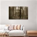 Picture of Mysterious Woods  _GroupedProduct_Rectangle_Landscape_Photography _GroupedProduct_Rectangle_Landscape_Unframed_Print_Only_