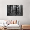 Picture of Mysterious Woods  _GroupedProduct_Rectangle_Landscape_Photography _GroupedProduct_Rectangle_Landscape_Unframed_Print_Only_