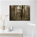 Picture of Mysterious Woods  _GroupedProduct_Rectangle_Landscape_Photography _GroupedProduct_Rectangle_Landscape_Unframed_Print_Only_