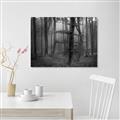 Picture of Mysterious Woods  _GroupedProduct_Rectangle_Landscape_Photography _GroupedProduct_Rectangle_Landscape_Unframed_Print_Only_