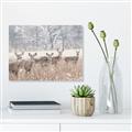 Picture of Oh Deer  _GroupedProduct_Rectangle_Landscape_Photography _GroupedProduct_Rectangle_Landscape_Unframed_Print_Only_