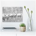 Picture of Oh Deer  _GroupedProduct_Rectangle_Landscape_Photography _GroupedProduct_Rectangle_Landscape_Unframed_Print_Only_