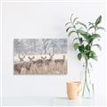 Picture of Oh Deer  _GroupedProduct_Rectangle_Landscape_Photography _GroupedProduct_Rectangle_Landscape_Unframed_Print_Only_
