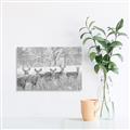 Picture of Oh Deer  _GroupedProduct_Rectangle_Landscape_Photography _GroupedProduct_Rectangle_Landscape_Unframed_Print_Only_