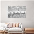 Picture of Oh Deer  _GroupedProduct_Rectangle_Landscape_Photography _GroupedProduct_Rectangle_Landscape_Unframed_Print_Only_