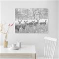 Picture of Oh Deer  _GroupedProduct_Rectangle_Landscape_Photography _GroupedProduct_Rectangle_Landscape_Unframed_Print_Only_