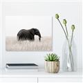 Picture of Out of Africa  _GroupedProduct_Rectangle_Landscape_Photography _GroupedProduct_Rectangle_Landscape_Unframed_Print_Only_