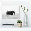 Picture of Out of Africa  _GroupedProduct_Rectangle_Landscape_Photography _GroupedProduct_Rectangle_Landscape_Unframed_Print_Only_