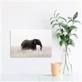 Picture of Out of Africa  _GroupedProduct_Rectangle_Landscape_Photography _GroupedProduct_Rectangle_Landscape_Unframed_Print_Only_