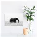 Picture of Out of Africa  _GroupedProduct_Rectangle_Landscape_Photography _GroupedProduct_Rectangle_Landscape_Unframed_Print_Only_