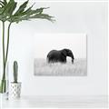 Picture of Out of Africa  _GroupedProduct_Rectangle_Landscape_Photography _GroupedProduct_Rectangle_Landscape_Unframed_Print_Only_