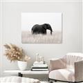 Picture of Out of Africa  _GroupedProduct_Rectangle_Landscape_Photography _GroupedProduct_Rectangle_Landscape_Unframed_Print_Only_