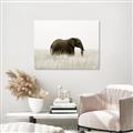 Picture of Out of Africa  _GroupedProduct_Rectangle_Landscape_Photography _GroupedProduct_Rectangle_Landscape_Unframed_Print_Only_