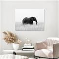 Picture of Out of Africa  _GroupedProduct_Rectangle_Landscape_Photography _GroupedProduct_Rectangle_Landscape_Unframed_Print_Only_