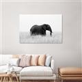 Picture of Out of Africa  _GroupedProduct_Rectangle_Landscape_Photography _GroupedProduct_Rectangle_Landscape_Unframed_Print_Only_