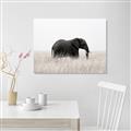 Picture of Out of Africa  _GroupedProduct_Rectangle_Landscape_Photography _GroupedProduct_Rectangle_Landscape_Unframed_Print_Only_