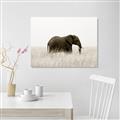 Picture of Out of Africa  _GroupedProduct_Rectangle_Landscape_Photography _GroupedProduct_Rectangle_Landscape_Unframed_Print_Only_