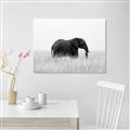 Picture of Out of Africa  _GroupedProduct_Rectangle_Landscape_Photography _GroupedProduct_Rectangle_Landscape_Unframed_Print_Only_