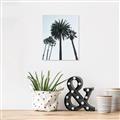 Picture of Palm Trees  _GroupedProduct_Rectangle_Portrait_Photography _GroupedProduct_Rectangle_Portrait_Unframed_Print_Only_