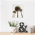 Picture of Palm Trees  _GroupedProduct_Rectangle_Portrait_Photography _GroupedProduct_Rectangle_Portrait_Unframed_Print_Only_