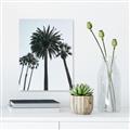 Picture of Palm Trees  _GroupedProduct_Rectangle_Portrait_Photography _GroupedProduct_Rectangle_Portrait_Unframed_Print_Only_