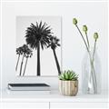 Picture of Palm Trees  _GroupedProduct_Rectangle_Portrait_Photography _GroupedProduct_Rectangle_Portrait_Unframed_Print_Only_