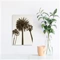 Picture of Palm Trees  _GroupedProduct_Rectangle_Portrait_Photography _GroupedProduct_Rectangle_Portrait_Unframed_Print_Only_