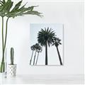 Picture of Palm Trees  _GroupedProduct_Rectangle_Portrait_Photography _GroupedProduct_Rectangle_Portrait_Unframed_Print_Only_