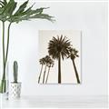 Picture of Palm Trees  _GroupedProduct_Rectangle_Portrait_Photography _GroupedProduct_Rectangle_Portrait_Unframed_Print_Only_