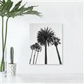 Picture of Palm Trees  _GroupedProduct_Rectangle_Portrait_Photography _GroupedProduct_Rectangle_Portrait_Unframed_Print_Only_