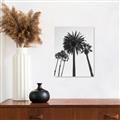 Picture of Palm Trees  _GroupedProduct_Rectangle_Portrait_Photography _GroupedProduct_Rectangle_Portrait_Unframed_Print_Only_