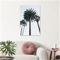 Picture of Palm Trees  _GroupedProduct_Rectangle_Portrait_Photography _GroupedProduct_Rectangle_Portrait_Unframed_Print_Only_