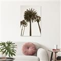 Picture of Palm Trees  _GroupedProduct_Rectangle_Portrait_Photography _GroupedProduct_Rectangle_Portrait_Unframed_Print_Only_
