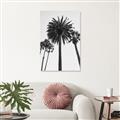Picture of Palm Trees  _GroupedProduct_Rectangle_Portrait_Photography _GroupedProduct_Rectangle_Portrait_Unframed_Print_Only_