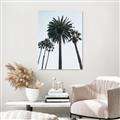 Picture of Palm Trees  _GroupedProduct_Rectangle_Portrait_Photography _GroupedProduct_Rectangle_Portrait_Unframed_Print_Only_