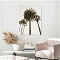 Picture of Palm Trees  _GroupedProduct_Rectangle_Portrait_Photography _GroupedProduct_Rectangle_Portrait_Unframed_Print_Only_