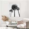 Picture of Palm Trees  _GroupedProduct_Rectangle_Portrait_Photography _GroupedProduct_Rectangle_Portrait_Unframed_Print_Only_