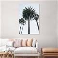 Picture of Palm Trees  _GroupedProduct_Rectangle_Portrait_Photography _GroupedProduct_Rectangle_Portrait_Unframed_Print_Only_