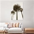 Picture of Palm Trees  _GroupedProduct_Rectangle_Portrait_Photography _GroupedProduct_Rectangle_Portrait_Unframed_Print_Only_