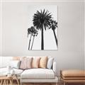 Picture of Palm Trees  _GroupedProduct_Rectangle_Portrait_Photography _GroupedProduct_Rectangle_Portrait_Unframed_Print_Only_