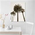 Picture of Palm Trees  _GroupedProduct_Rectangle_Portrait_Photography _GroupedProduct_Rectangle_Portrait_Unframed_Print_Only_